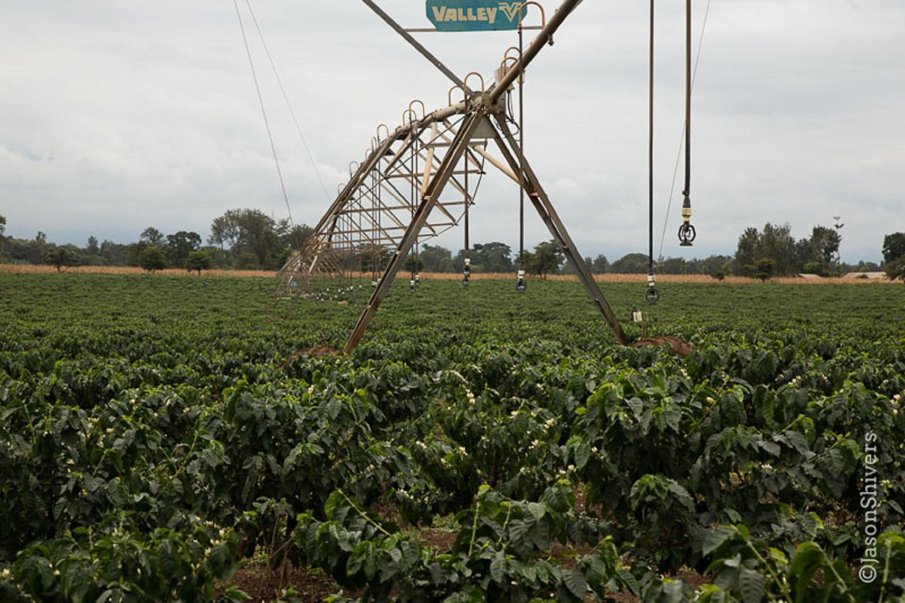 Weru Weru River Lodge Bagian luar foto