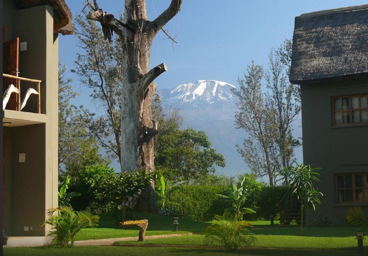 Weru Weru River Lodge Bagian luar foto