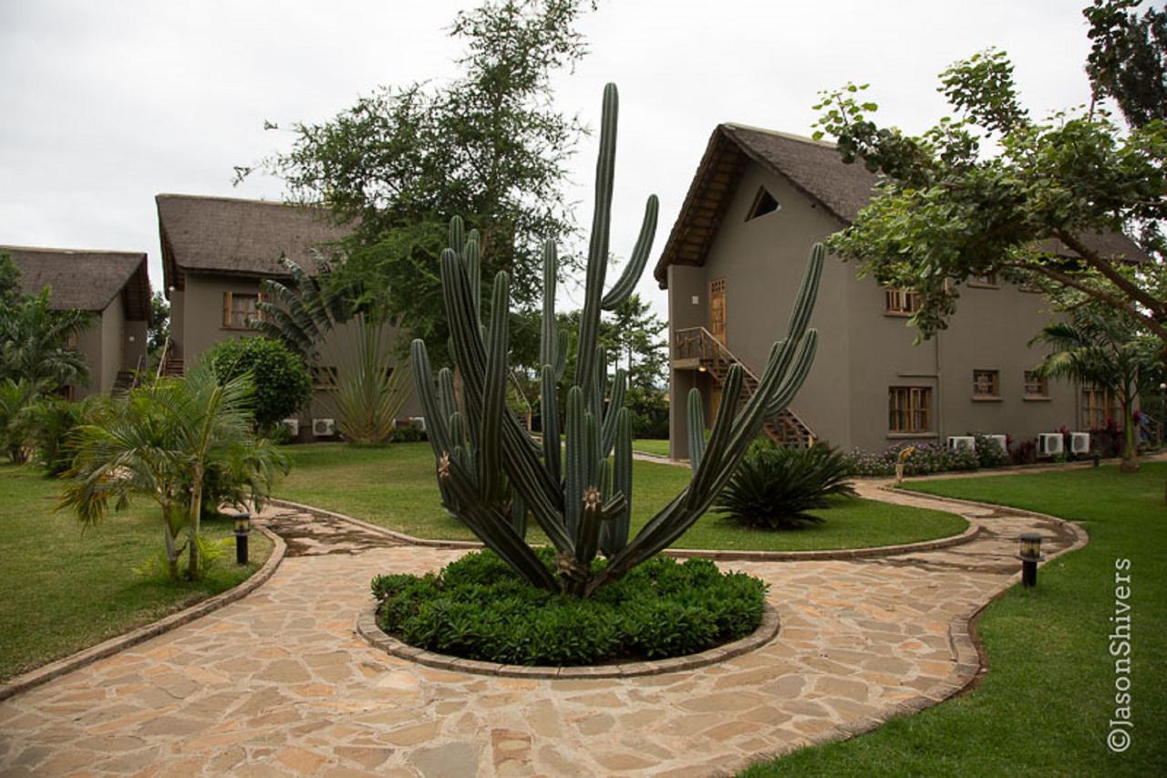 Weru Weru River Lodge Bagian luar foto